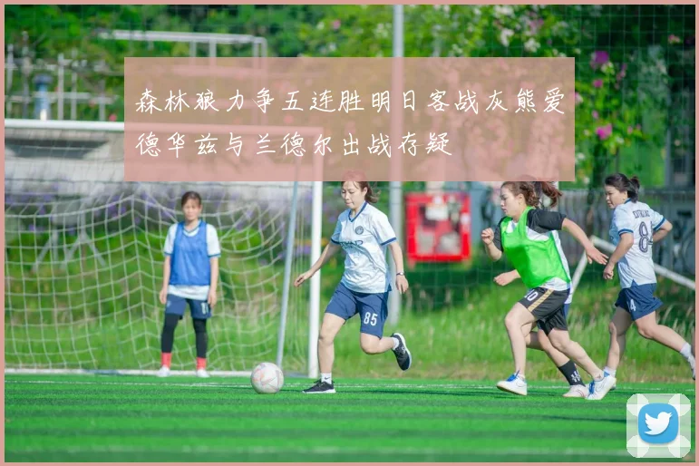 森林狼力争五连胜明日客战灰熊爱德华兹与兰德尔出战存疑