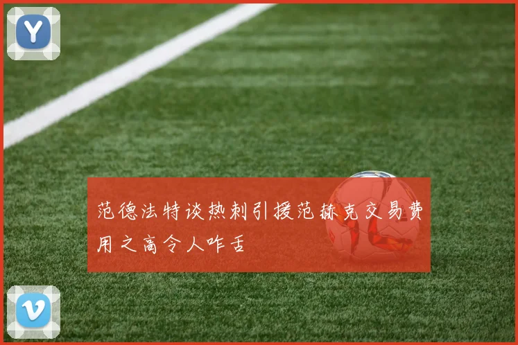 范德法特谈热刺引援范赫克交易费用之高令人咋舌